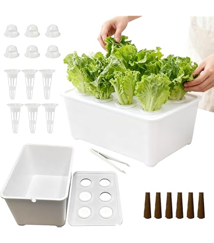 Amazon.co.jp: U-ING GreenFarmCube 水耕栽培器 ホワイト: DIY・工具